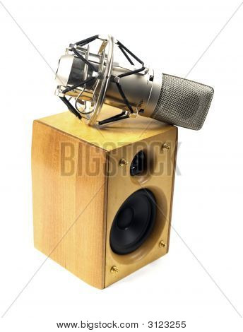 Reproduktor a mikrofon