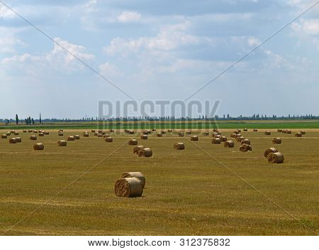 Summer Landscape With The Hay Bales In The Field. Freshly Rolled Hay Bales On Field In Ukraine. Rura