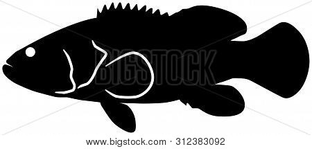 Goliath Grouper Fish Black Vector Silhouette Clip Art Image