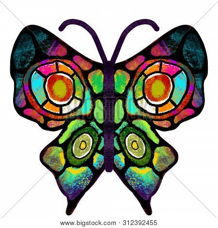 Butterfly. The Multi-colored, Painted Butterfly. Insect Illustration