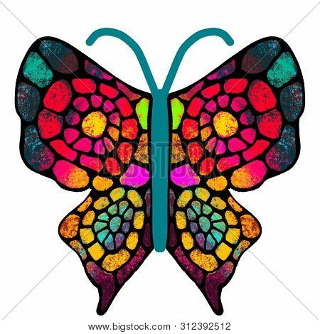 Butterfly. The Multi-colored, Painted Butterfly. Insect Illustration
