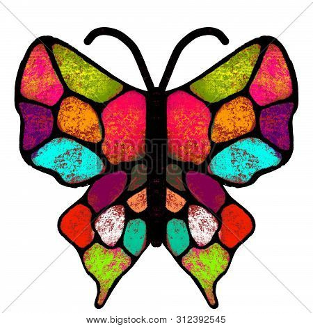 Butterfly. The Multi-colored, Painted Butterfly. Insect Illustration