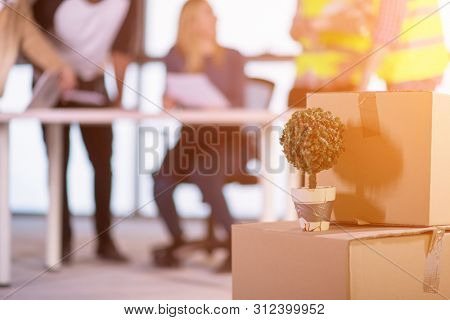 plant in flowerpot on cardboard box with sunligt through the windows and multiethnic business team in background during moving in at new unfinished startup office building