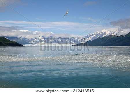 Hubbard Glacier And Yakutat Bay, Alaska, In Summer