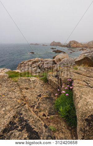 Plougrescant Pink Granite Coast Bretagne Park And Mountains Coast Of Armor