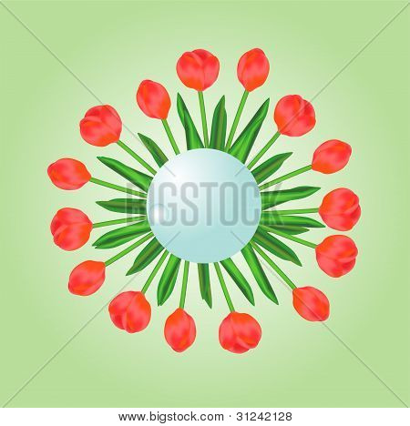 Červené tulipány obrázek