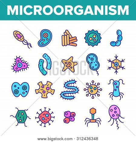 Microorganisms Cells Thin Line Icons Set. Viruses, Bacterias, Unicellular Organisms, Protozoa Linear