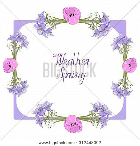 Summer Motive On A Postcard Vector Illustration Hand Draw. Vector  Hand Draw Celebrate Holiday.