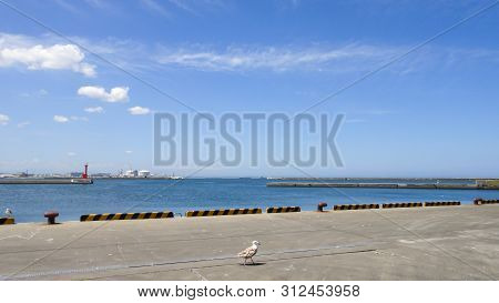 Hachinohe City First Fish Market In Aomori Prefecture, Japan. Aug 08, 2016