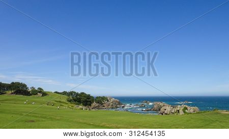 Tanesashi Kaigan Coast. The Coastline Includes Both Sandy And Rocky Beaches, And Grassy Meadows Scen