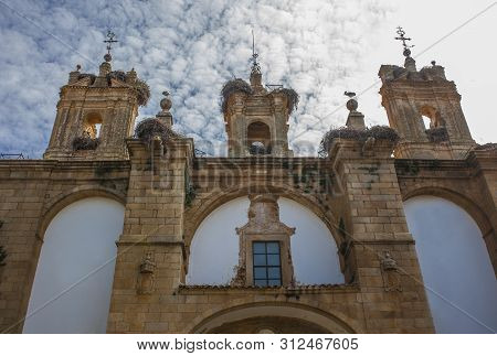 Historical Building Facade Plenty Of White Storks At Caceres; Spain. These Birds Are Protected By Sp