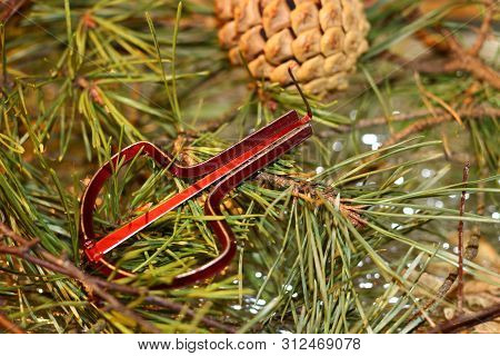 The Musical Instrument Mouth Harp (vargan) Close