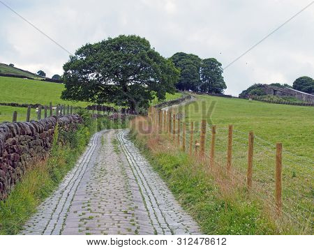 A Narrow Cobble Stone Winding Country Lane Surrounded By Stone Walls Fences Trees And Green Fields I
