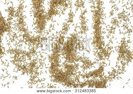 Lot Of Whole Dry Caraway Fruits Crescent Flatlay Isolated On White Background