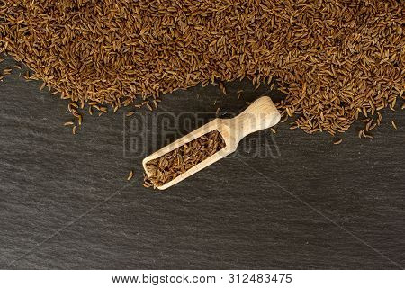 Lot Of Whole Dry Caraway Fruits Copyspace Below With Wooden Scoop Flatlay On Grey Stone