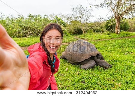 Adventure travel tourist on Galapagos Islands taking selfie phot by Giant Tortoises on Santa Cruz Island in Galapagos Islands. Animals and nature in Galapagos highlands.