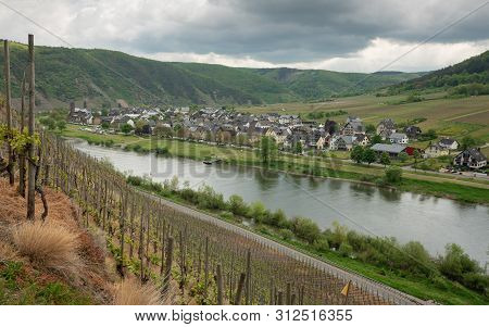 Panoramic Image Of The Moselle Village Ernst Close To Cochem On A Dully Day In Springtime, Germany