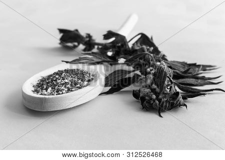 Motherwort - A Medicinal Plant With A Calming Effect