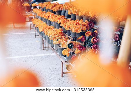 Flower Candle For Making Worship Merit To Buddha