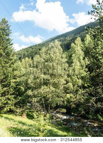Panoramic Of The Aiguestortes And Sant Maurici National Park, Road Of The Pond Of Sant Maurici, In T
