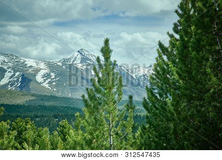 Scenic Ulagansky Pass,  Altai  Mountain Landscape  Woodland,