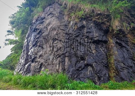Beginning Of Vagamon Hills Station, Vagamon Is One Of The Best Tourist Destination In Idukki Distric