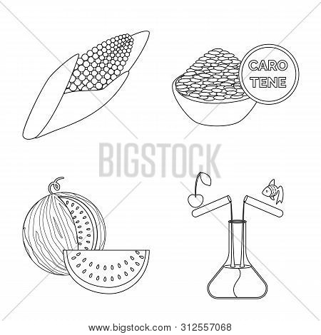Vector Design Of Genetic And Science Logo. Set Of Genetic And Organic Stock Vector Illustration.