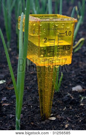Regenmeter in tuin