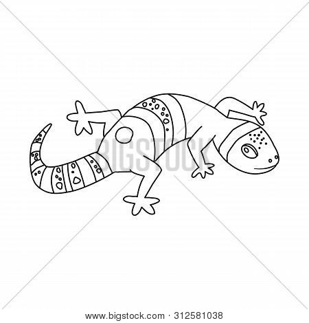 Vector Design Of Lizard And Reptile Logo. Collection Of Lizard And Original Stock Symbol For Web.