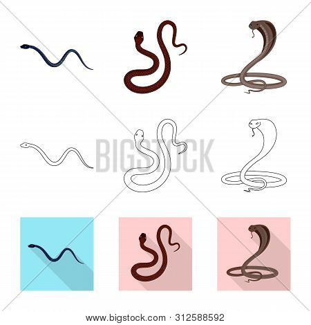 Vector Design Of Mammal And Danger Sign. Collection Of Mammal And Medicine Stock Vector Illustration