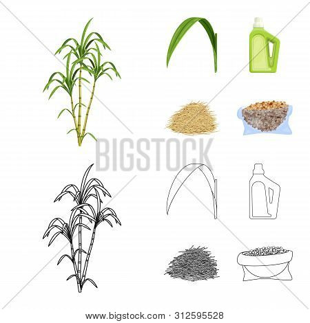Vector Illustration Of Farm And Agriculture Sign. Set Of Farm And Technology Stock Symbol For Web.