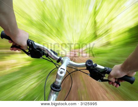 マウンテン バイクの森