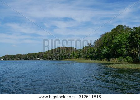A Lake View With Trees And Grass In Water On A Lake Eustis In Florida.