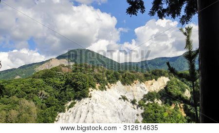 Forest Of Juniko Twelve Lakes Area In The Shirakami-sanchi Mountainous. A Unesco World Heritage Site