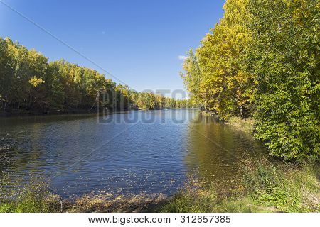 Trees With Bright Yellow Fall Foliage On The Shore Of The Pond. Sunny Day In October. Landscape Rese