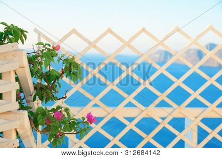 Santorini island fense and flowers in Greece.
