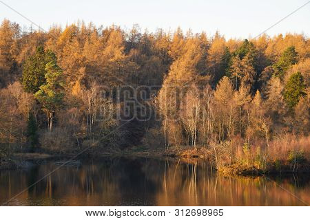 Stunning Landscape Image Of Tarn Hows In Lake District During Beautiful Autumn Fall Evening Sunset W