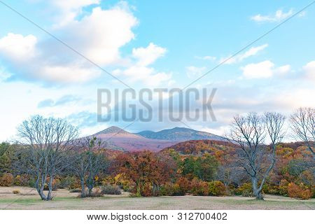 Autumn Foliage Scenery In Kayano-kogen Plateau, Aomori, Japan. Hakkoda Mountains On Background Bathe
