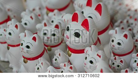 Japanese traditional Gotokuji Shrine with lots of cat statues