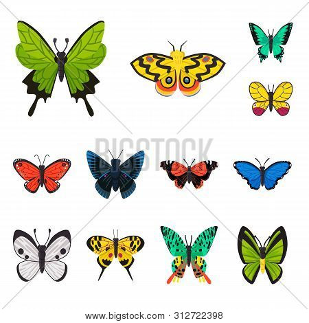Vector Design Of Nature And Summer Symbol. Collection Of Nature And Animal Stock Vector Illustration