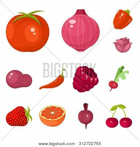Isolated Object Of Vegetable And Food Sign. Collection Of Vegetable And Ripe Vector Icon For Stock.