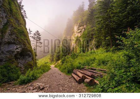Hiking Trail In The Mountains Leading Through The Gorge On A Foggy Morning-the Szopczański Gorge (pr