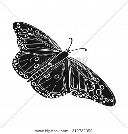 Vector Illustration Of Butterfly And Spring Symbol. Set Of Butterfly And Decorative Stock Vector Ill