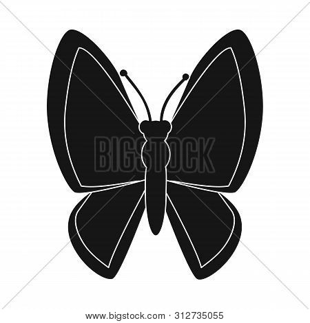 Isolated Object Of Butterfly And Beautiful Logo. Set Of Butterfly And Multicolor Vector Icon For Sto