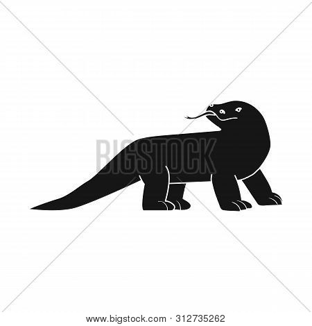 Vector Design Of Varanus And Lizard Icon. Set Of Varanus And Creature Vector Icon For Stock.