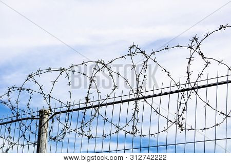 Barbed Wire. Restriction Of Freedom. Prison Fence. Forbidden Territory. The Concept Of Security. The