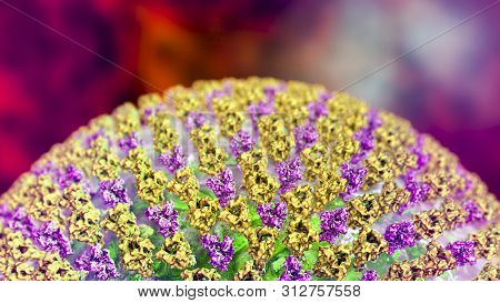 Measles Virus, Closeup View. 3d Illustration Showing Structure Of Measles Virus With Surface Glycopr