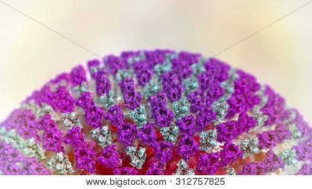 Measles Virus, Closeup View. 3d Illustration Showing Structure Of Measles Virus With Surface Glycopr