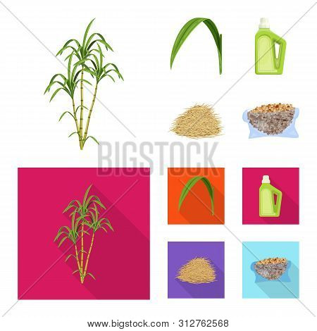 Vector Illustration Of Farm And Agriculture Logo. Set Of Farm And Technology Stock Symbol For Web.