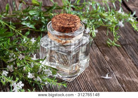 A Bottle Of Mountain Savory Essential Oil With Blooming Satureja Montana Plant